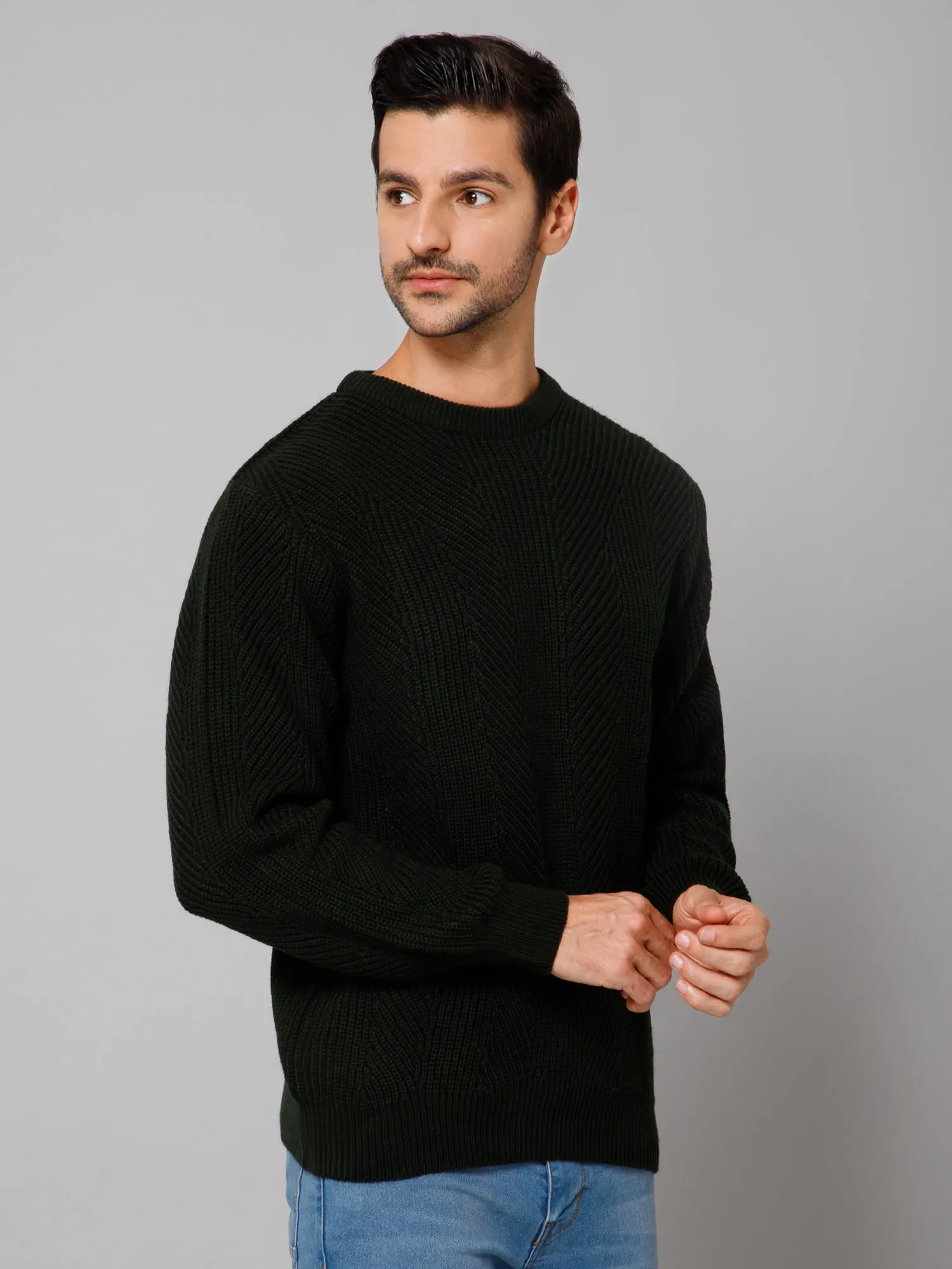 Self Design Olive Full Sleeves Round Neck Regular Fit Casual Sweater for Men