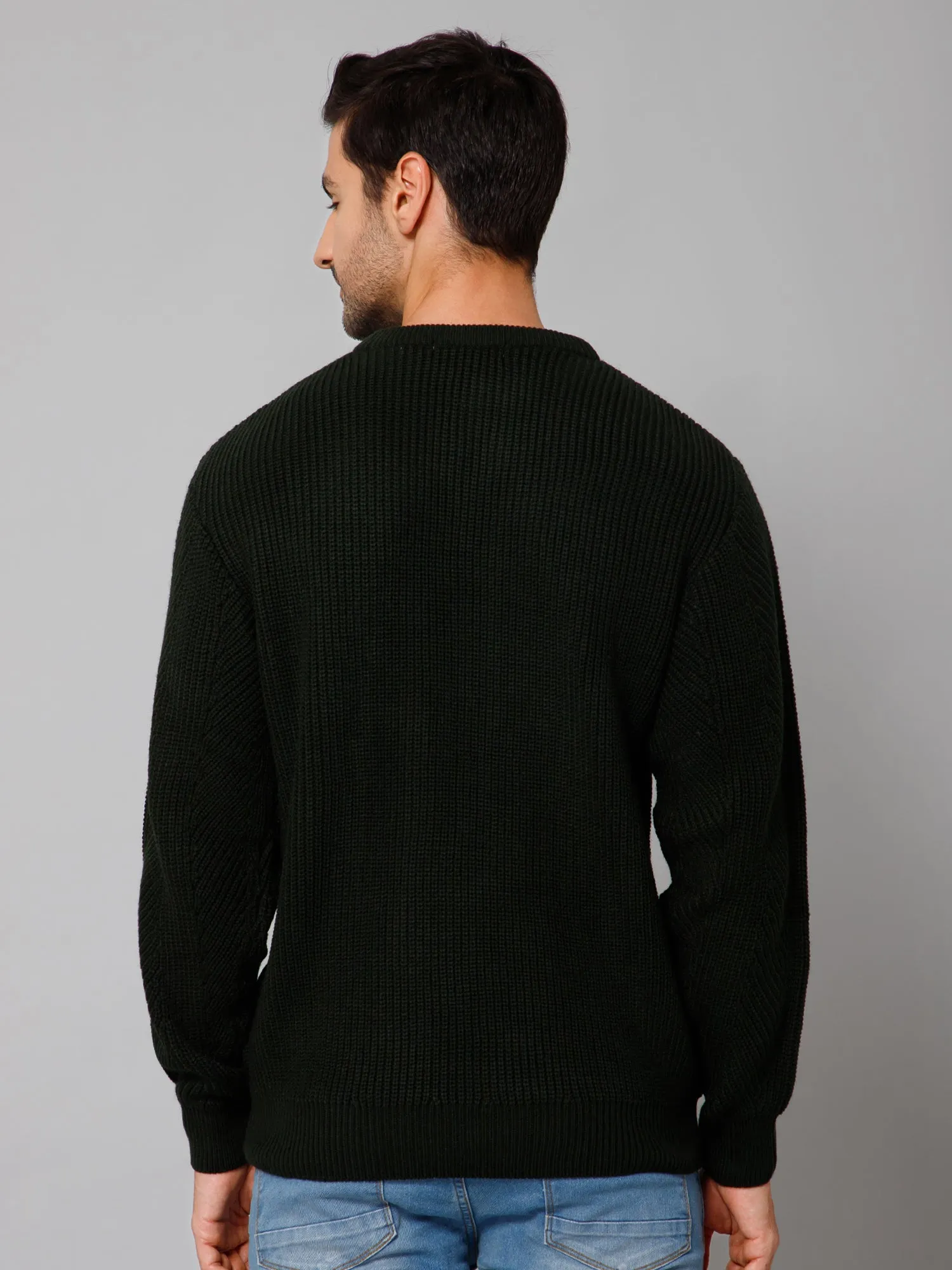 Self Design Olive Full Sleeves Round Neck Regular Fit Casual Sweater for Men